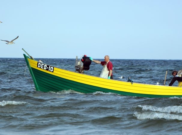 Gospodarstwo Rybackie DębkiCodzienny poł&oacute;w naszych ryb