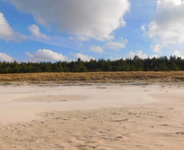 Dębki – szeroka, piaszczysta plaża otoczona naturą