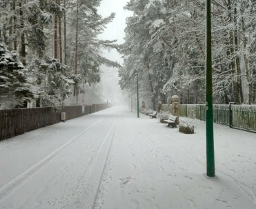 Zimowy spacer w Dębkach